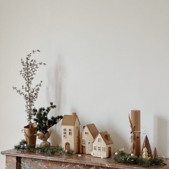 Sapin cèdre – Image 2