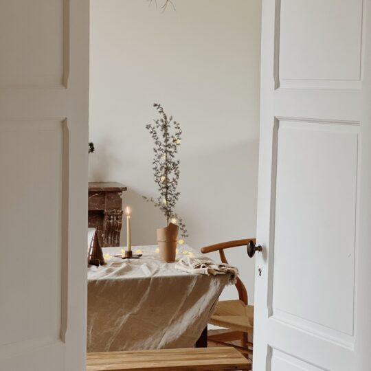 Sapin cèdre – Image 3