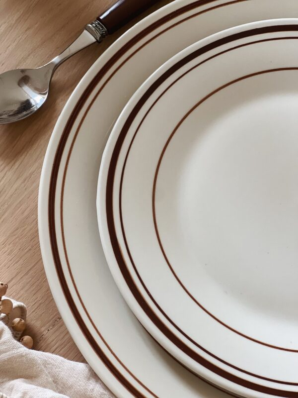 Assiettes bistrot marron