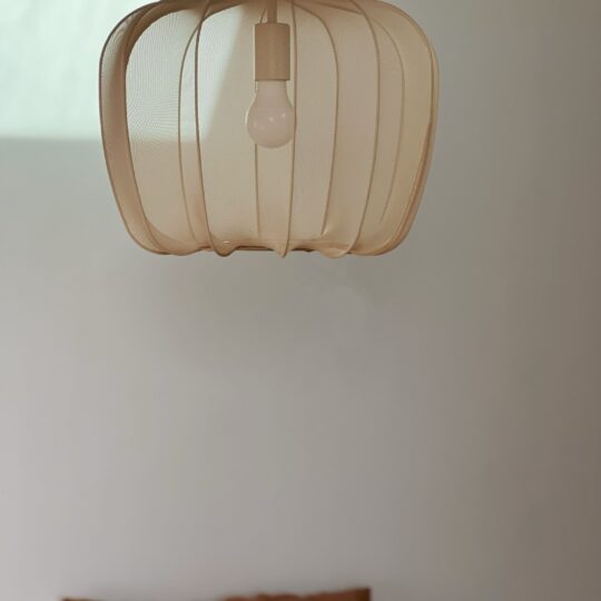 suspension luminaire design pour salon