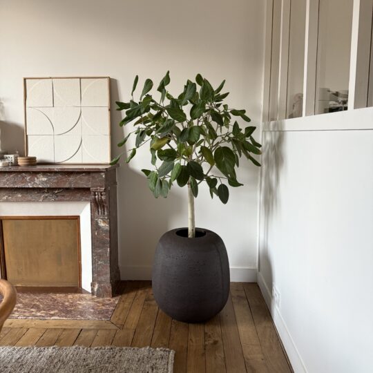 Pot de fleurs en pierre