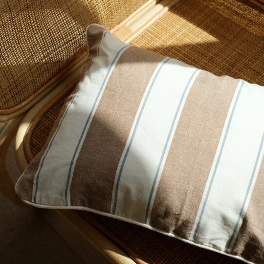 Housse de coussin 50x50