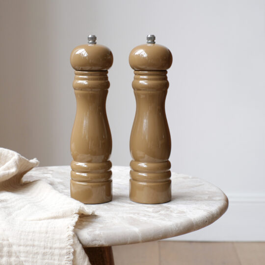 duo moulin poivre et sel bois